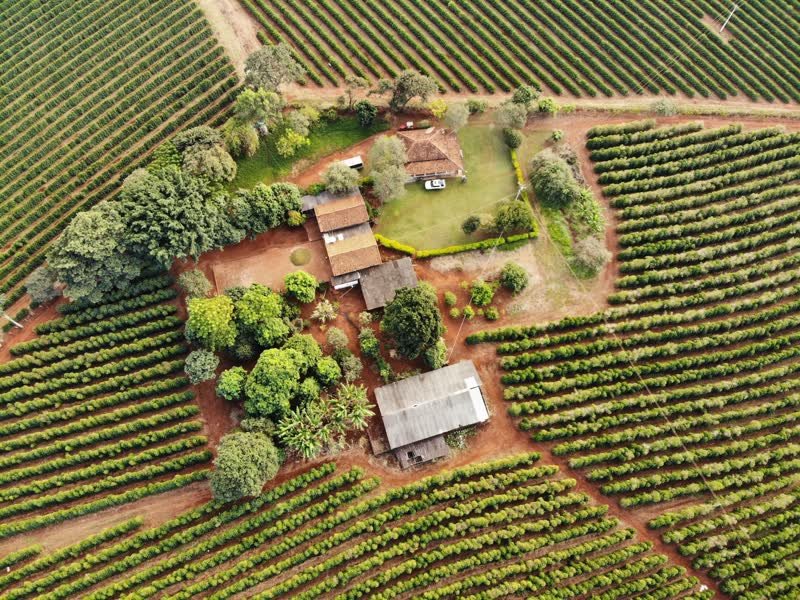 Aerial view of the main house and barn