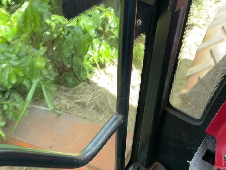 From the cab, between the rows